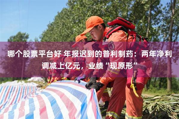 哪个股票平台好 年报迟到的普利制药：两年净利调减上亿元，业绩“现原形”