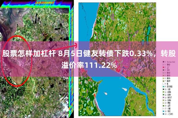 股票怎样加杠杆 8月5日健友转债下跌0.33%，转股溢价率111.22%