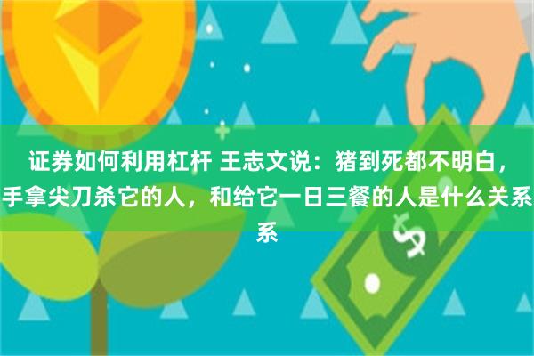 证券如何利用杠杆 王志文说：猪到死都不明白，手拿尖刀杀它的人，和给它一日三餐的人是什么关系