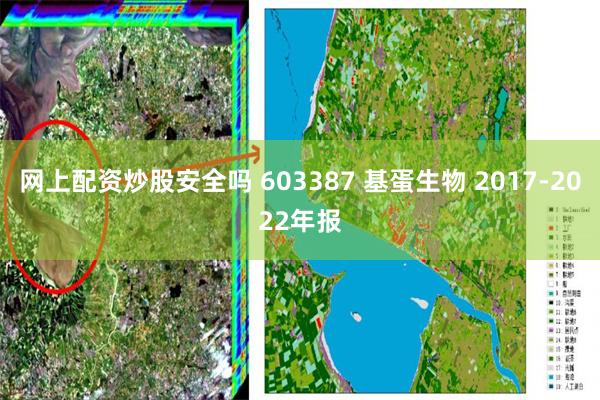 网上配资炒股安全吗 603387 基蛋生物 2017-2022年报