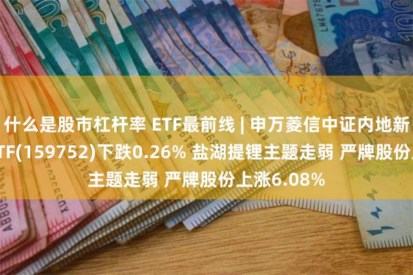 什么是股市杠杆率 ETF最前线 | 申万菱信中证内地新能源主题ETF(159752)下跌0.26% 盐湖提锂主题走弱 严牌股份上涨6.08%