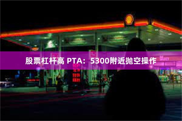 股票杠杆高 PTA：5300附近抛空操作