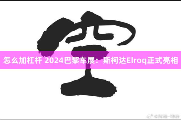 怎么加杠杆 2024巴黎车展：斯柯达Elroq正式亮相