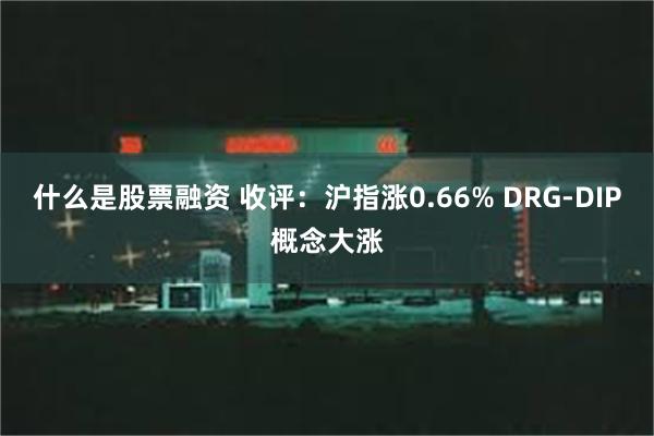 什么是股票融资 收评：沪指涨0.66% DRG-DIP概念大涨