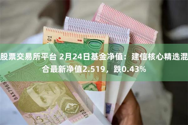 股票交易所平台 2月24日基金净值：建信核心精选混合最新净值2.519，跌0.43%